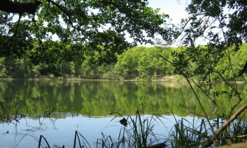 Uroki Wielkopolskiego Parku Narodowego – dlaczego warto tu mieszkać?